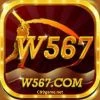 W567 Game
