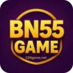 Bn55 Game