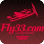 FLY 33 Game
