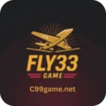 Fly33 Game