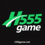 H555 Game