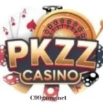 Pkzz Game