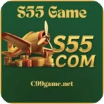 S55 Game