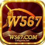 W567 Game